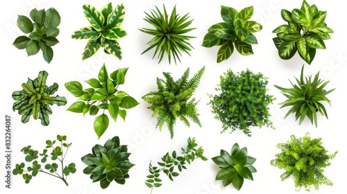 Top View of Various Green Plants  Generative AI