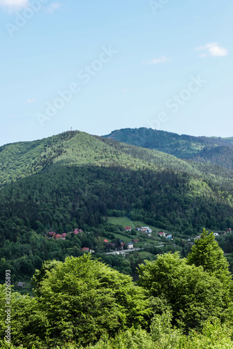 village in the Carpathian Mountains