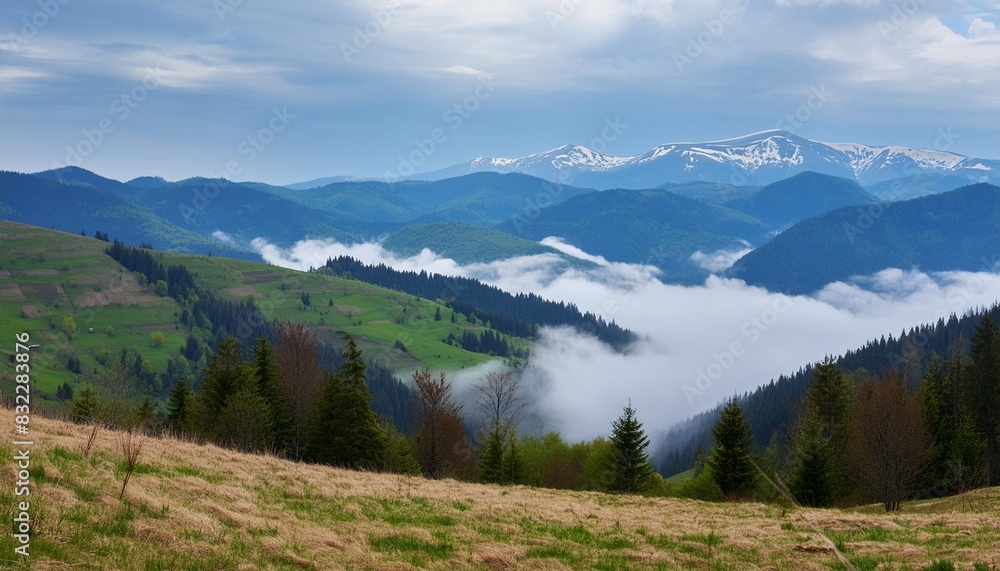 carpathian countryside scenery on a foggy morning mountainous rural landscape of ukraine with grassy meadows forested hills and misty valley in spring clouds above the mountains