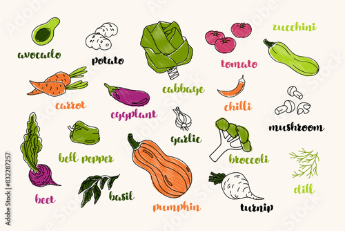 A vibrant collection of hand drawn in vector vegetables, herbs, and fruits, with labels for easy identification, perfect for culinary indoors decorations or educational purposes.