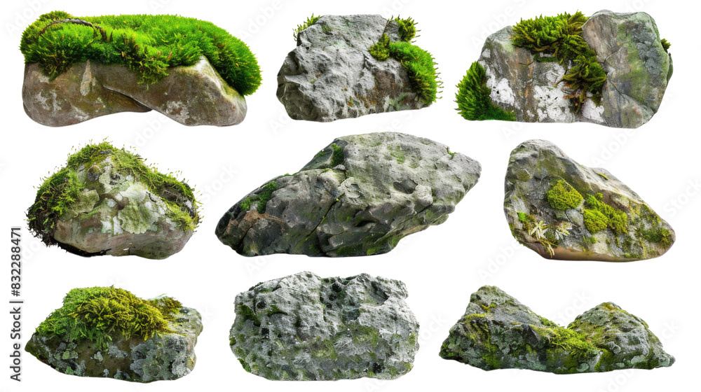 Moss-covered rocks , set Moss-covered rocks , set