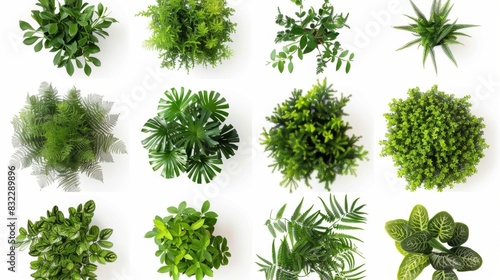 Top View of Various Green Plants  Generative AI