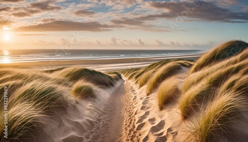 path on dunes to north sea beach photo