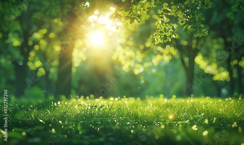 Summer Beautiful spring perfect natural landscape background  Defocused green trees in forest with wild grass and sun beams
