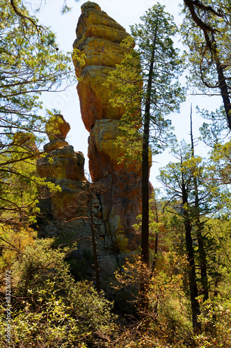 Chiricahua National Monument Arizona photo