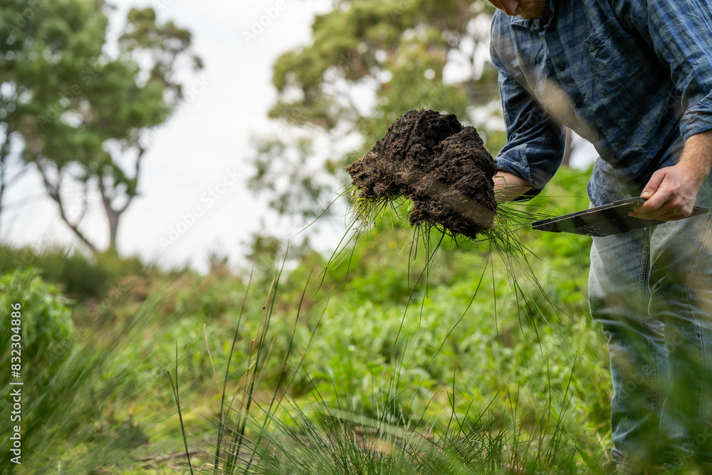 farmer holding soil on her hands on a farm looking after the health of the earth in spring in australia farmer holding soil on her hands on a farm looking after the health of the earth in spring in australia