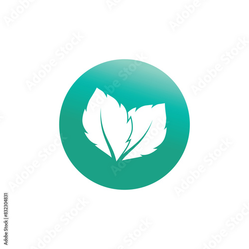 Mint leaf logo vector element template and symbol
