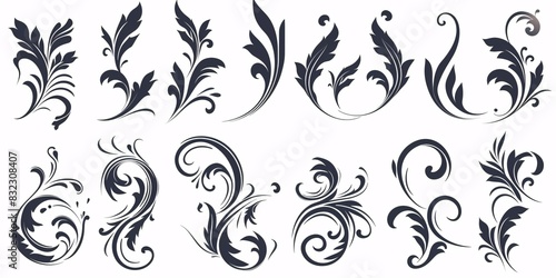 Collection of decorative, curvy calligraphy patterns. Graceful classic minimalistic motifs. Artwork.