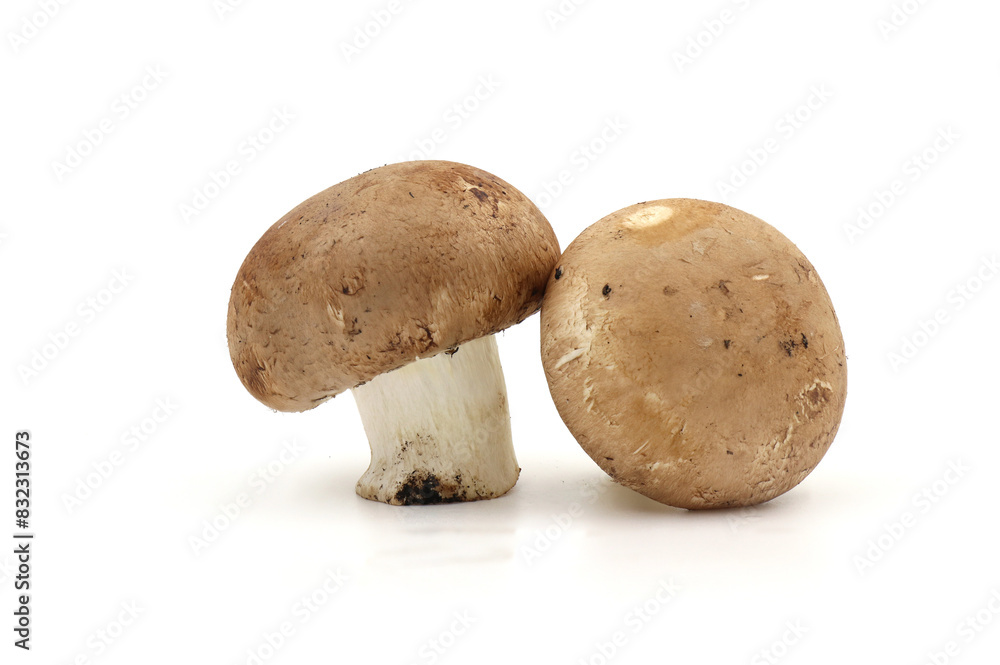 Fresh champignon mushrooms isolated on a white background. full depth of field. Fresh champignon mushrooms isolated on a white background. full depth of field.