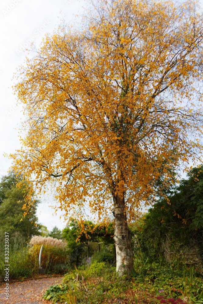 autumn in the park autumn in the park