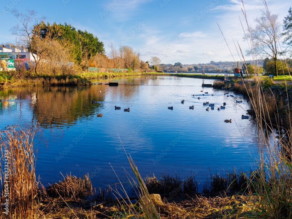 Obraz premium lake in autumn