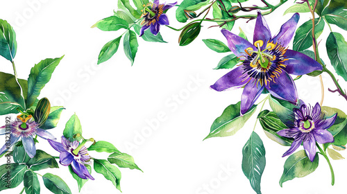 Purple passion flower in tropical garden. Water color painting of tropical flower.