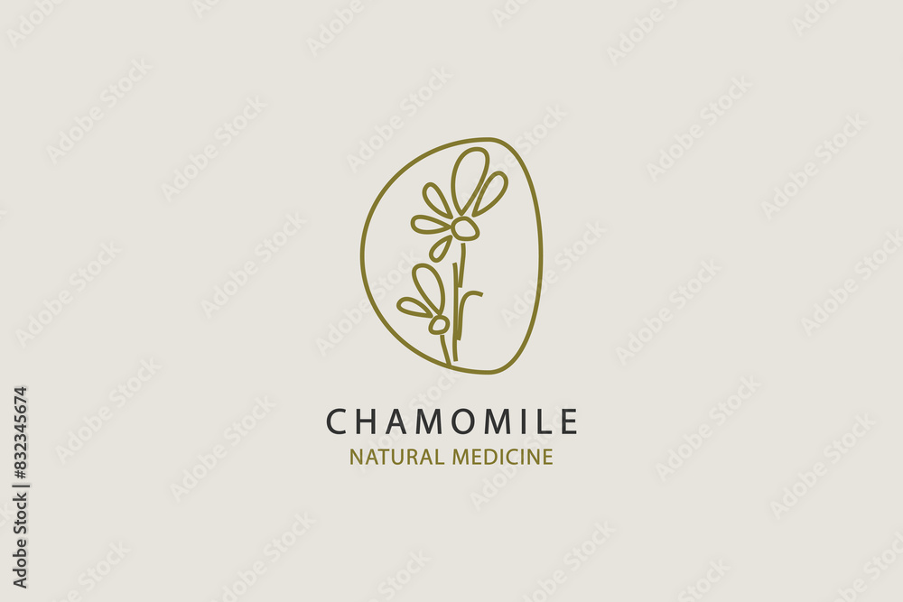 Chamomile flower natural medicine logo design. Linear style herbal vector graphic. Chamomile flower natural medicine logo design. Linear style herbal vector graphic.