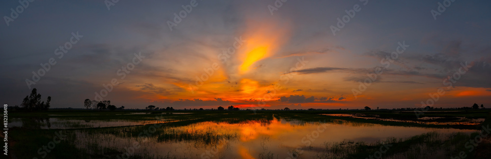 Obraz premium Silhouette tree with sunset.Tree silhouetted against a setting sun.Beautiful clouds,Sunlight with dramatic sky,Thailand,Asia.Photo landscape open green field dramatic sunrise.