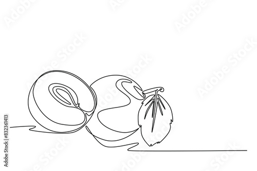 Single one line drawing of whole and sliced healthy organic plum for orchard logo identity. Fresh fruitage concept for fruit garden icon. Modern continuous line draw design graphic vector illustration