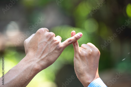 Pinky promise photo