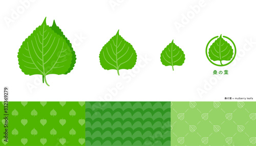 桑の葉のイラストおよびアイコンとパターンセット。 photo