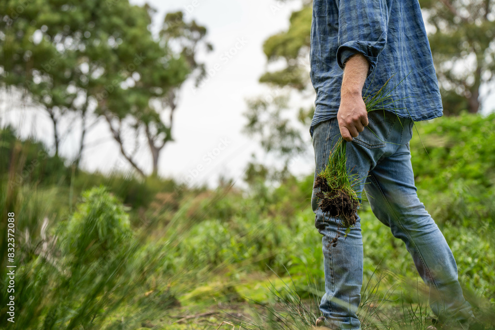 farmer holding soil on her hands on a farm looking after the health of the earth in spring in australia farmer holding soil on her hands on a farm looking after the health of the earth in spring in australia