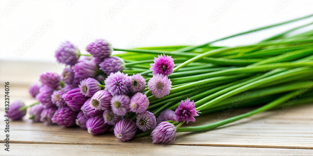 Fototapeta premium Fresh Chives popular vegetable rich in various nutrients
