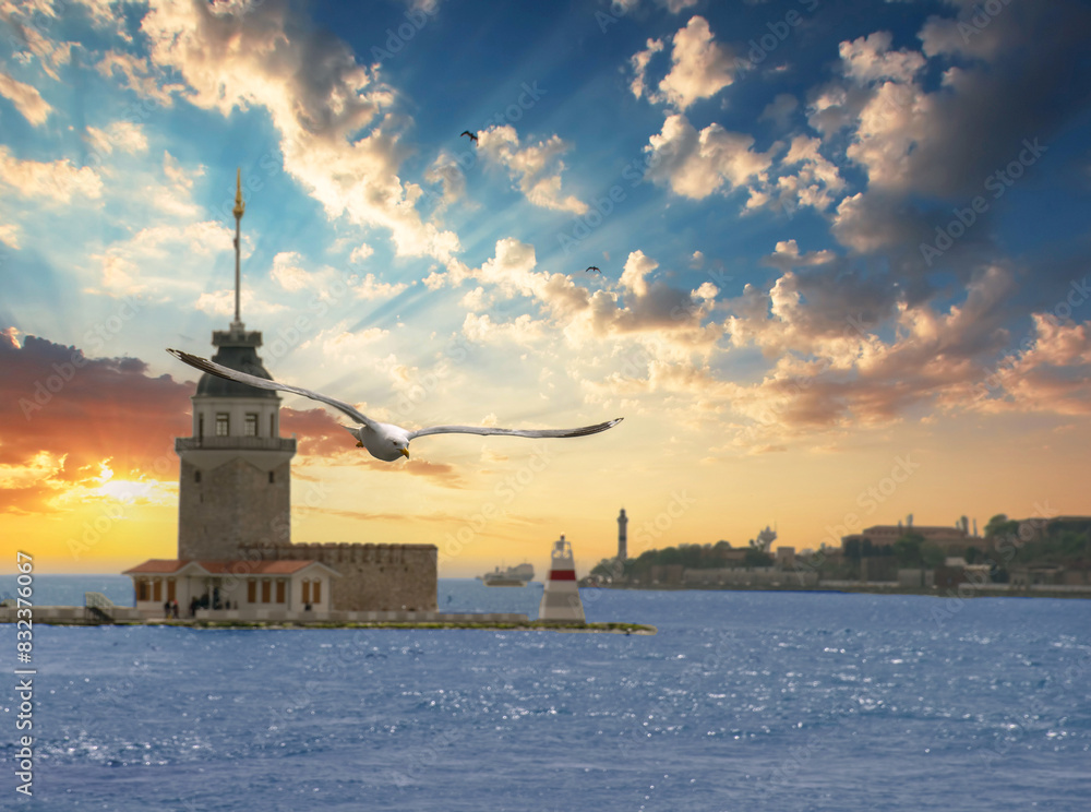 Fototapeta premium Seagull in focus, Maiden's Tower and sunset view in the background..