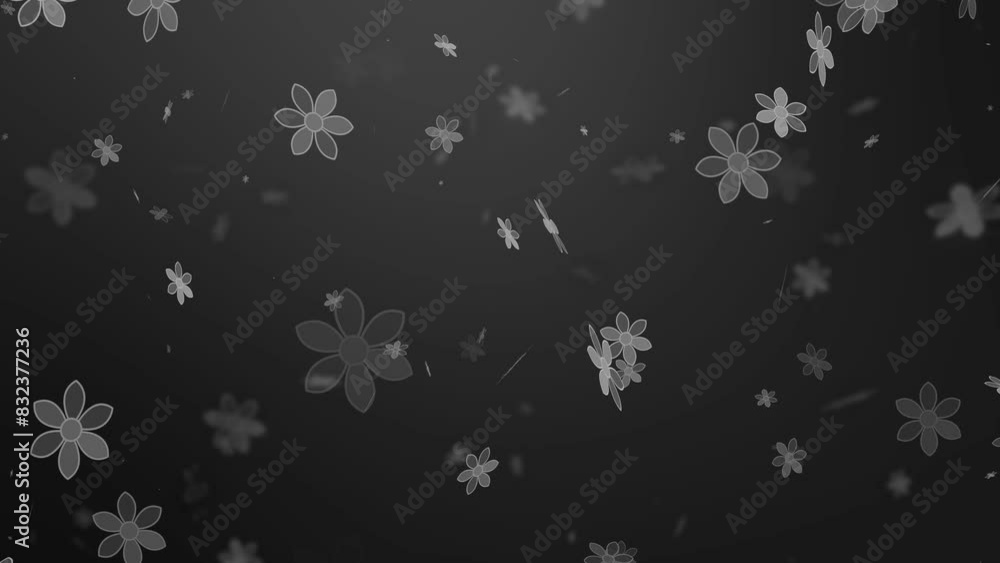 Flower particles fading animation white gradient dark Flower particles fading animation white gradient dark