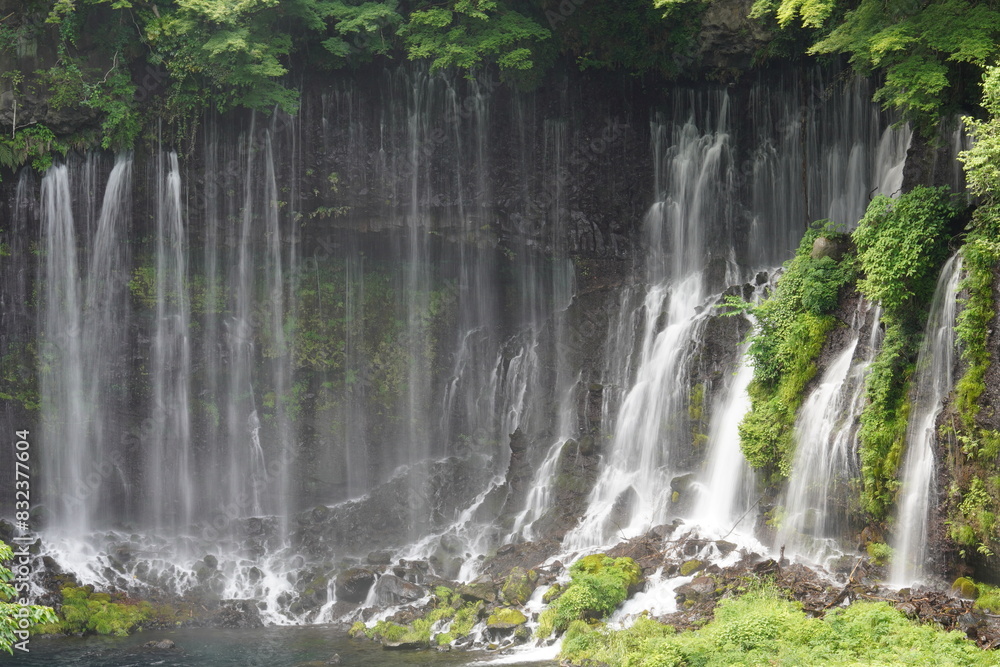 Obraz premium 白糸の滝