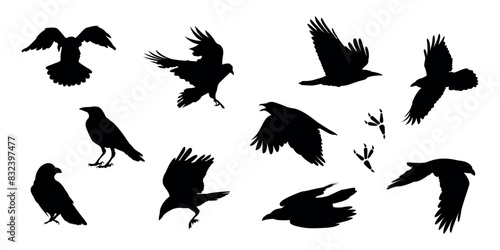crow. a shadow. the silhouette of a crow. vector. black color. on a white background. seamless pattern. the pattern. animal. a wild animal. bird. Fly. traces.