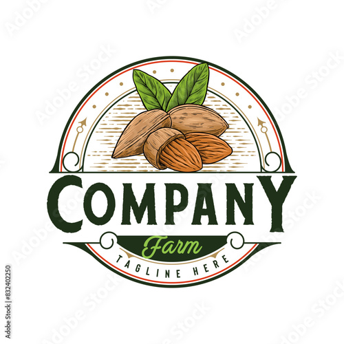 Almond nut design logo in vintage style
