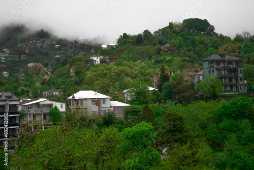 Suburban Serenity: Foggy Morning in a Green Village © Andrew