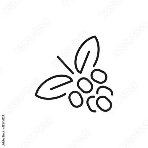 Coffee berries icon. Simple coffee berries icon for social media, app, and web design. Vector illustration
