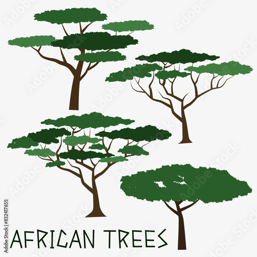 African trees. Colored silhouette of African trees. Vector illustration.