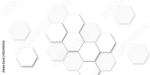 Abstract white and gray hexagon technology lines background. Abstract white and grey color hexagonal geometric background with copy space. Abstract white lines background.