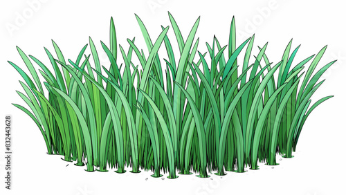 A sea of emerald green waving gently in the breeze. The individual blades are thin and delicate yet strong enough to withstand the weight of small. Cartoon Vector.
