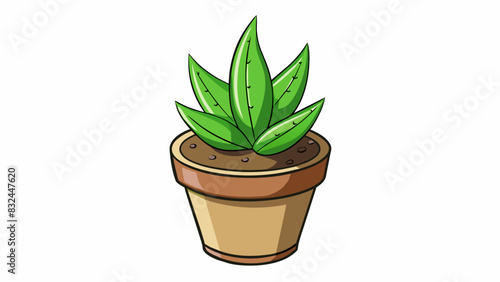 Examining a potted plant The plant has green leaves with pointed tips and a brown stem indicating it is an indoor plant. It is positioned in a ceramic. Cartoon Vector.