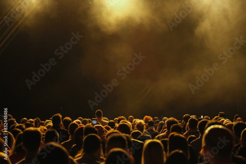 Rear view of people at a very crowded concert