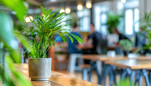 Entrepreneur in lush co working space, immersed in creativity with natural light