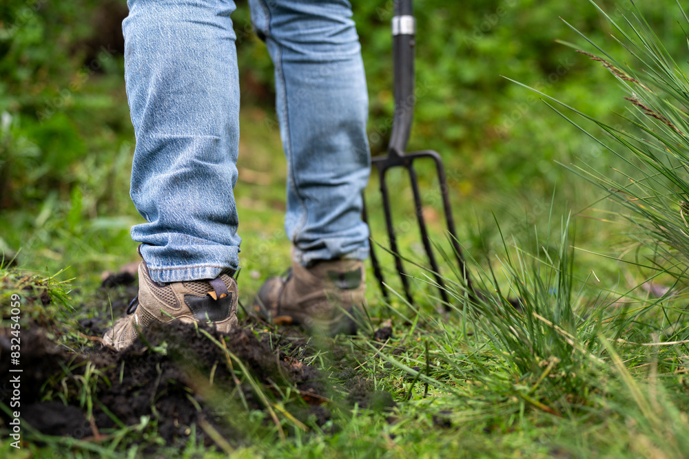 university student conducting research on forest health. farmer collecting soil samples in a test tube in a field. Agronomist checking soil carbon and plant health on a farm in australia