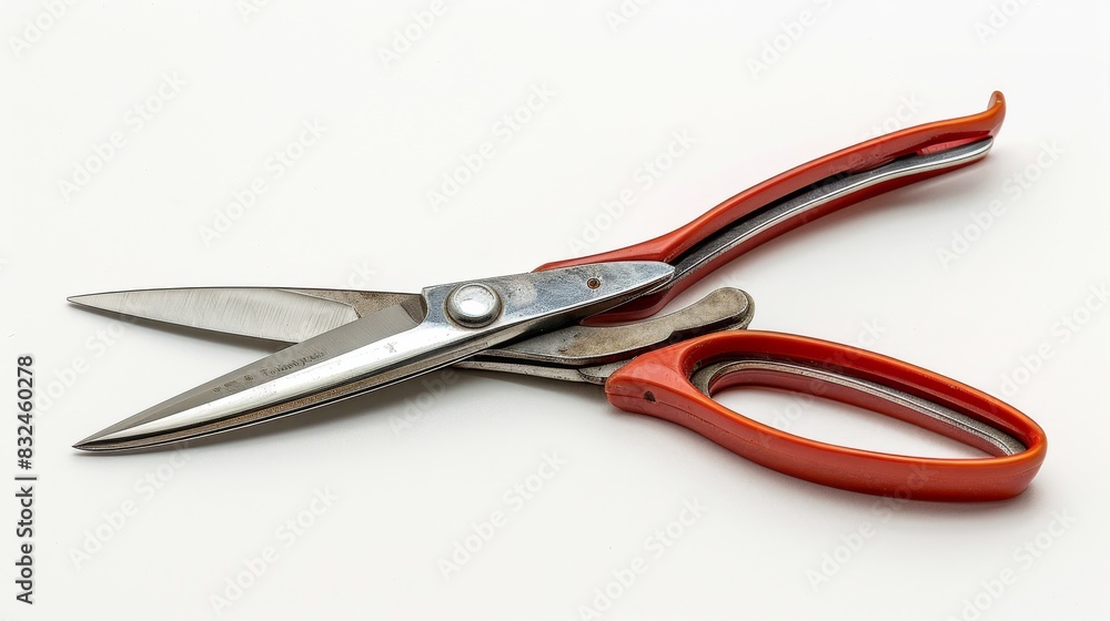 High-detail photo of a hand shears, isolated on a white background High-detail photo of a hand shears, isolated on a white background