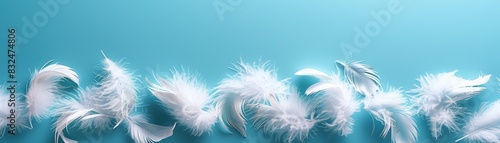 White feathers on a blue background. Soft and delicate. Perfect for beauty and nature themes.