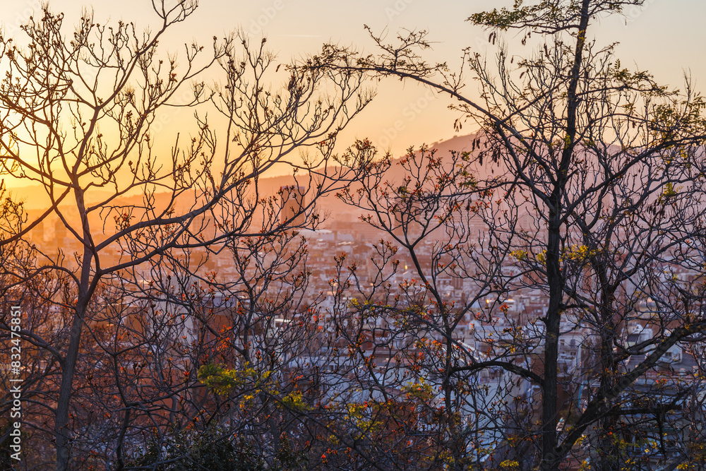 sunset over the city through tree branches sunset over the city through tree branches