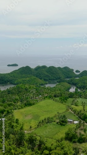 Aerial drone of farmland on the coast in the tropics. Agricultural land and rice fields. Negros, Philippines