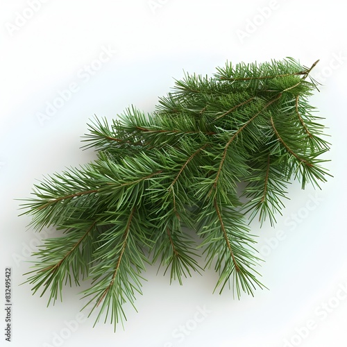 Pine Needles Arrangement A Detailed and D Rendering of Pine Needles Neatly Organized on a White