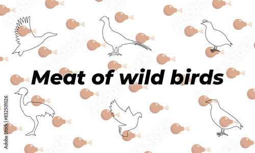 Vector meat of wild birds icons. Outline icon. Mallard, pheasant, partridge, ostrich , dove. Colored, chicken leg pattern, backgraund. Popular game meat concept