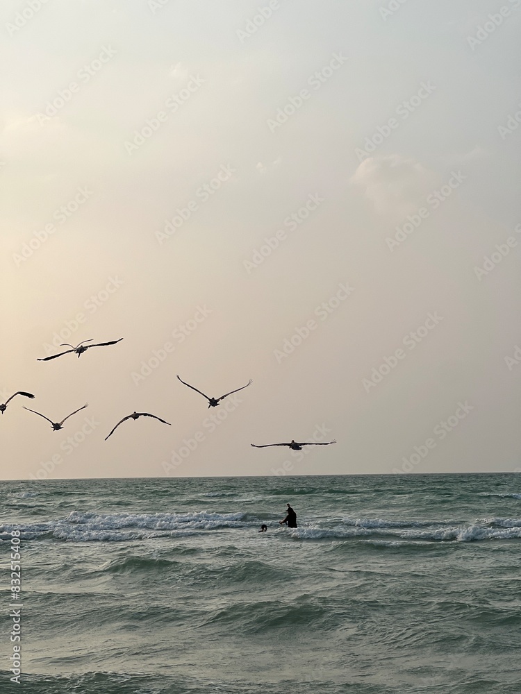 Naklejka premium Cormorant on the sea