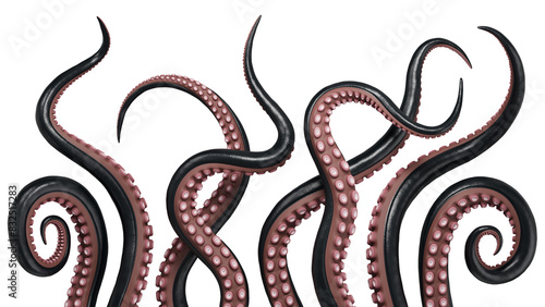 A set of black octopus tentacles. Isolated underwater monster. 3D rendering.