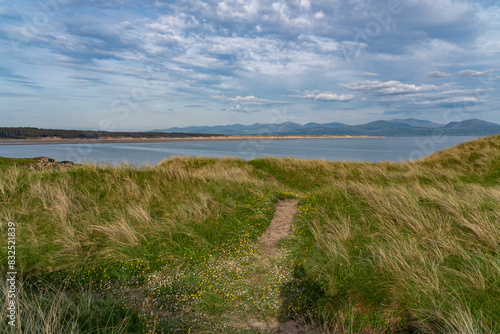 Lovely evening on Llandwyn Island Anglesey