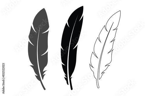 feather illustration