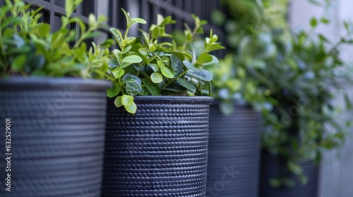 A set of ecofriendly and durable outdoor planters made entirely from recycled plastic adding greenery to any outdoor area. photo