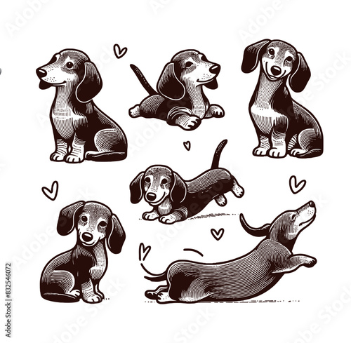 Vector Cute Dog  and Puppy set collection  silhouette design template illustration