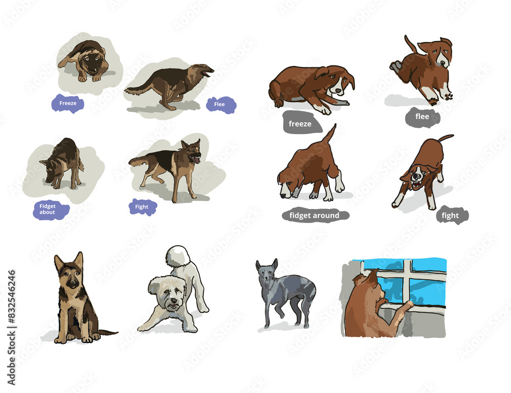 german shepherd german shepherd